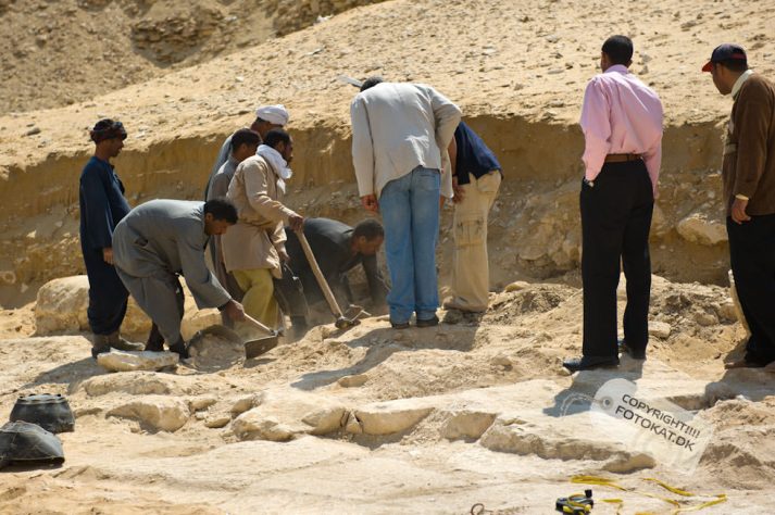 NIKON D700 . 1/2000 sec. f/4.5 . 70mm . ISO200 . ⒸPernille Fjeldgaard - 05-EGY-SAQ-15