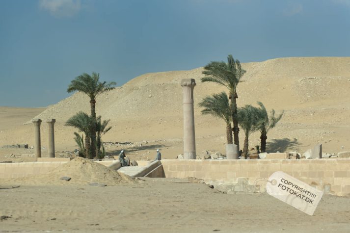 NIKON D700 . 1/4000 sec. f/2.8 . 70mm . ISO200 . ⒸPernille Fjeldgaard - 05-EGY-SAQ-2