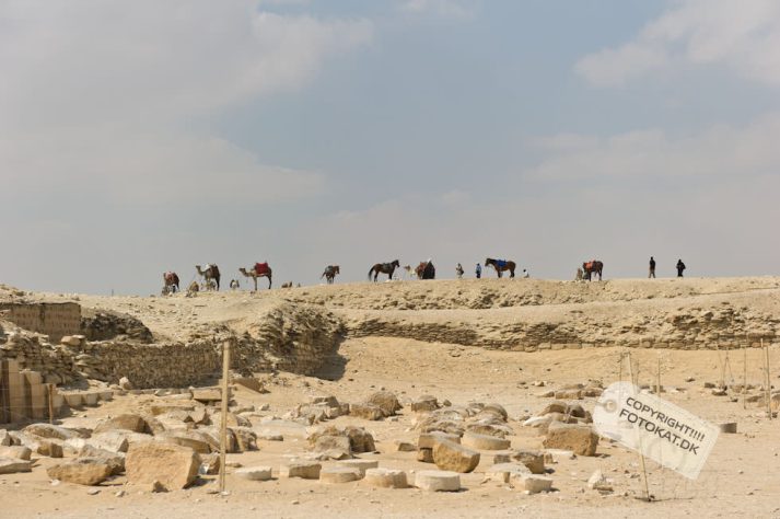 NIKON D700 . 1/3200 sec. f/4.5 . 70mm . ISO200 . ⒸPernille Fjeldgaard - 05-EGY-SAQ-45