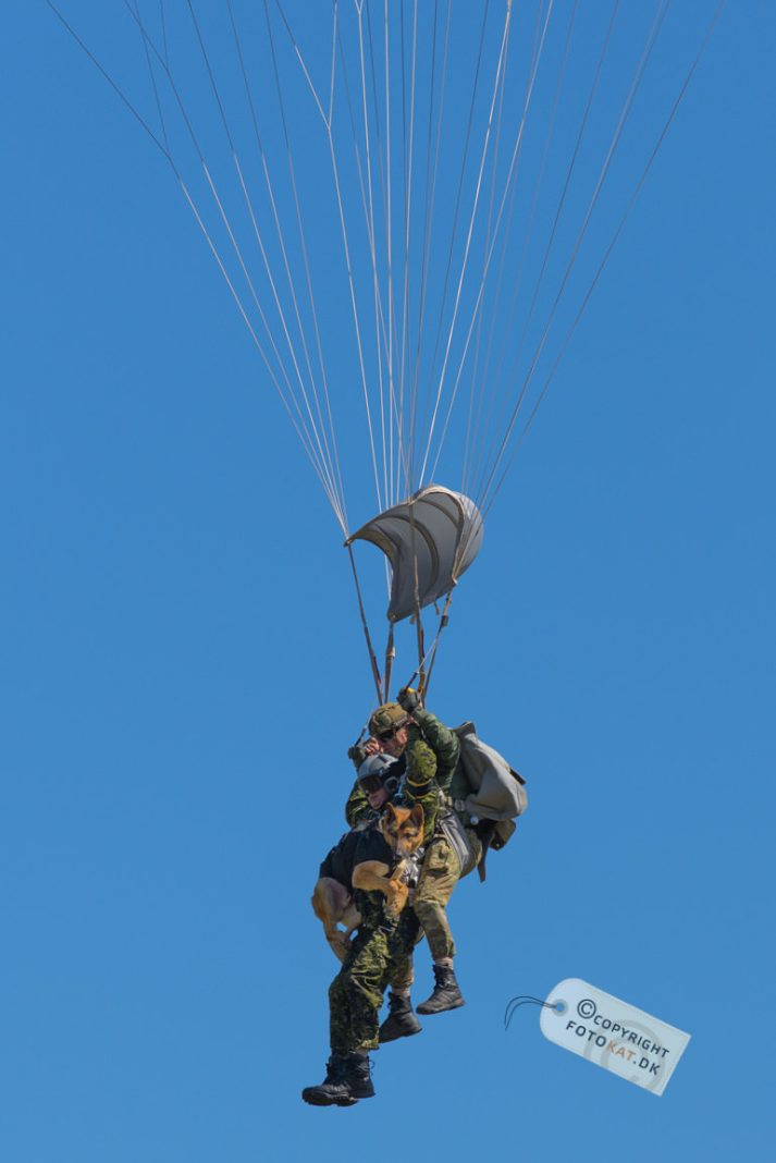 NIKON D600 . 1/4000 sec. f/3.2 . 300mm . ISO200 . - Danish_Airshow_Karup_2014_11