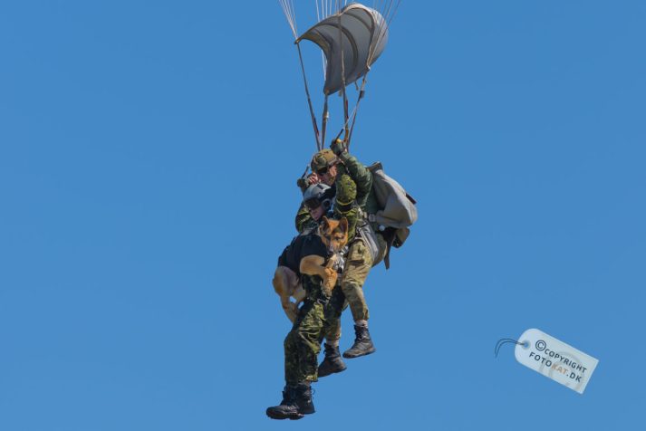 NIKON D600 . 1/4000 sec. f/3.2 . 300mm . ISO200 . - Danish_Airshow_Karup_2014_12