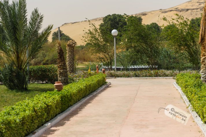 NIKON D700 . 1/1600 sec. f/5 . 70mm . ISO200 . ⒸPernille Fjeldgaard - Hotel_Isis_Aswan-23