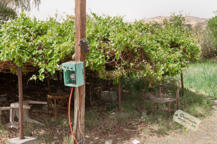 NIKON D700 . 1/80 sec. f/11 . 50mm . ISO200 . ⒸPernille Fjeldgaard - Hotel_Isis_Aswan-47