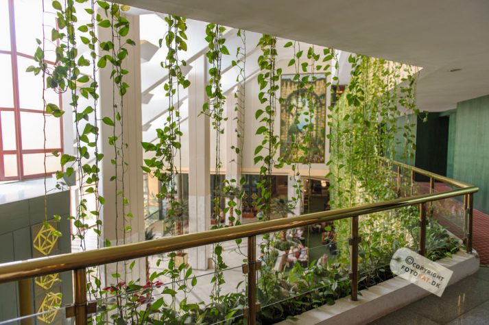 NIKON D700 . 1/60 sec. f/3.2 . 24mm . ISO400 . ⒸPernille Fjeldgaard - Hotel_Isis_Aswan-9