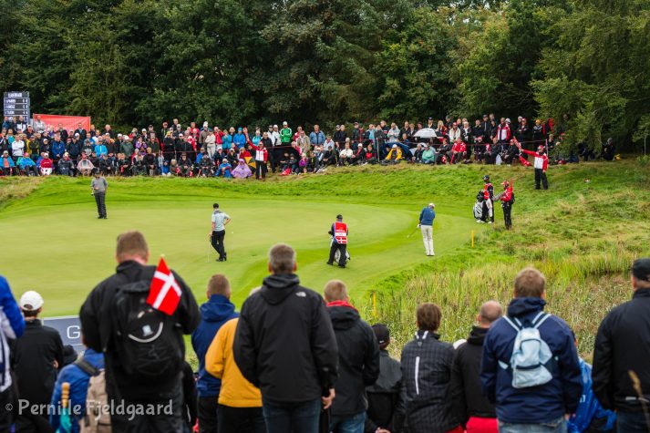 NIKON D7100 . 1/250 sec. f/5.6 . 95mm . ISO250 . - MiD-05