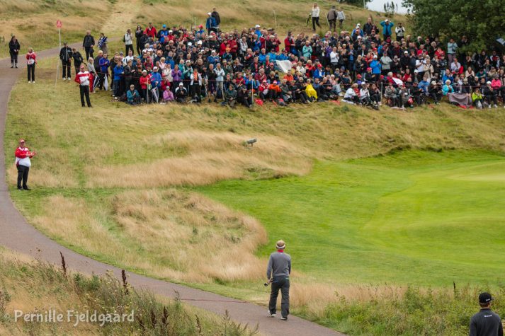 NIKON D7100 . 1/400 sec. f/5.6 . 92mm . ISO250 . - MiD-13