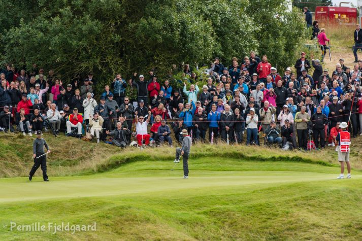 NIKON D7100 . 1/400 sec. f/5.6 . 165mm . ISO250 . - MiD-14