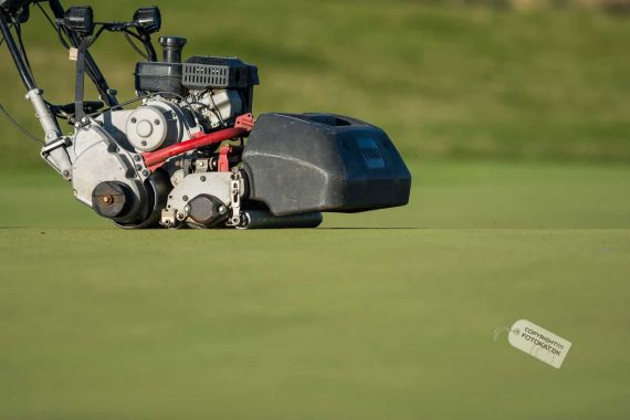 NIKON D7100 . 1/1600 sec. f/2.8 . 300mm . ISO100 . ⒸPernille - MiD-2015-11