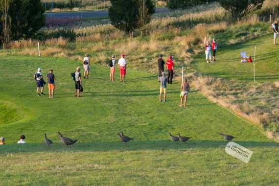 NIKON D7100 . 1/640 sec. f/4.8 . 112mm . ISO320 . ⒸPernille - MiD-2015-19