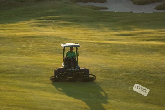 NIKON D7100 . 1/800 sec. f/5.6 . 300mm . ISO320 . ⒸPernille - MiD-2015-20