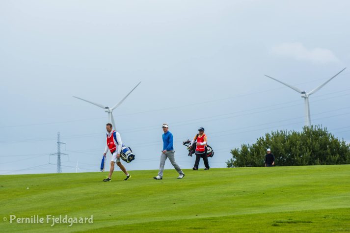 NIKON D7100 . 1/640 sec. f/5.6 . 135mm . ISO200 . - MiD-21