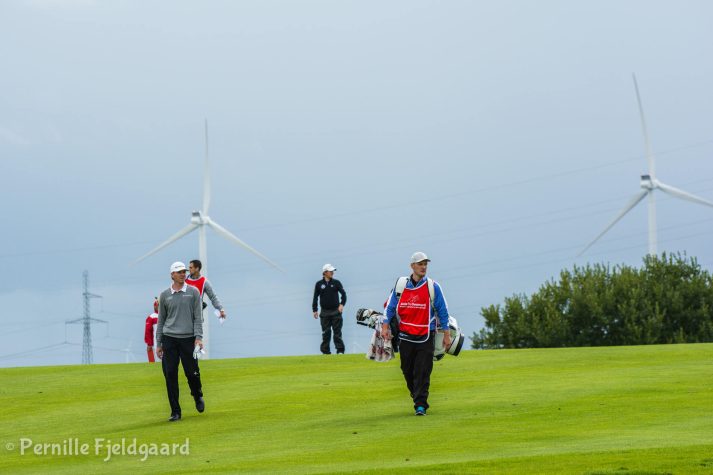 NIKON D7100 . 1/800 sec. f/5.6 . 145mm . ISO200 . - MiD-22