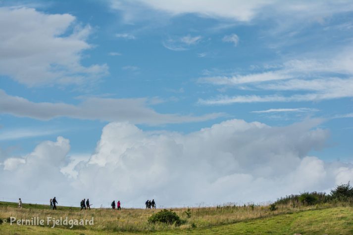 NIKON D7100 . 1/1250 sec. f/5 . 70mm . ISO200 . - MiD-30