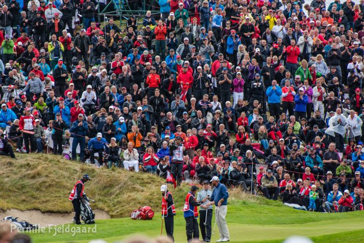 NIKON D7100 . 1/320 sec. f/5.6 . 250mm . ISO200 . - MiD-33