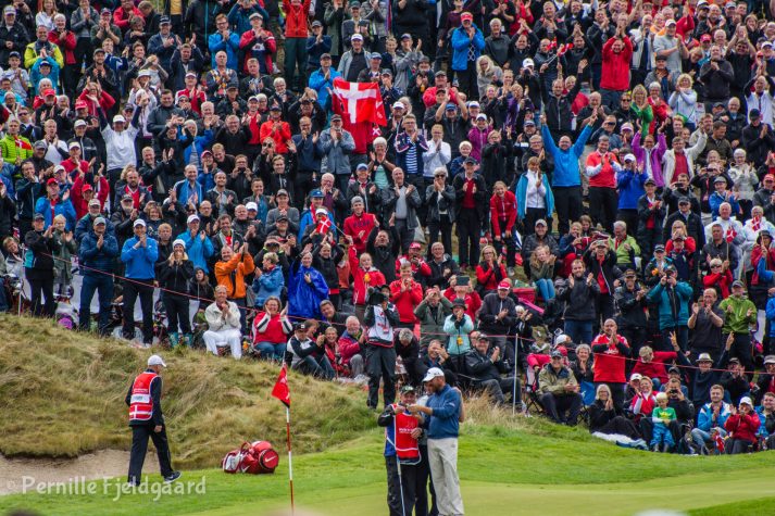 NIKON D7100 . 1/320 sec. f/5.6 . 300mm . ISO200 . - MiD-36