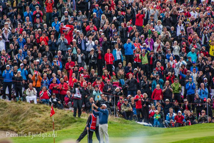 NIKON D7100 . 1/200 sec. f/5.6 . 300mm . ISO200 . - MiD-38