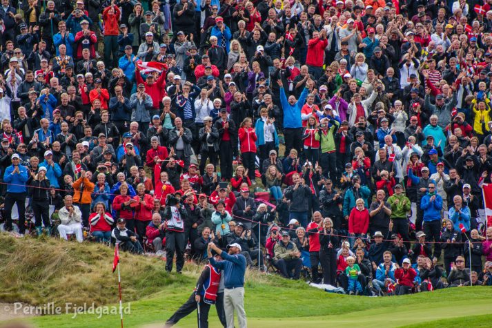 NIKON D7100 . 1/200 sec. f/5.6 . 300mm . ISO200 . - MiD-39