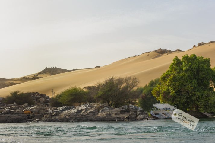 NIKON D700 . 1/1600 sec. f/4.5 . 52mm . ISO200 . ⒸPernille Fjeldgaard - Nubisk_landsby_12