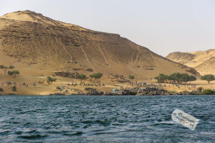 NIKON D700 . 1/1250 sec. f/4.5 . 70mm . ISO200 . ⒸPernille Fjeldgaard - Nubisk_landsby_14