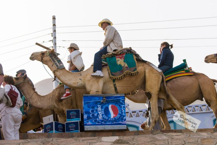 NIKON D200 . 1/1250 sec. f/4.5 . 70mm . ISO200 . ⒸAllan Kaihøj - Nubisk_landsby_21