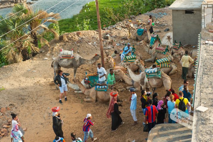 NIKON D700 . 1/640 sec. f/4 . 70mm . ISO200 . ⒸPernille Fjeldgaard - Nubisk_landsby_37