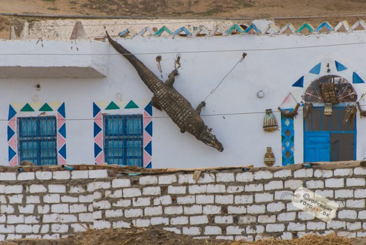 NIKON D200 . 1/125 sec. f/8 . 300mm . ISO200 . ⒸAllan Kaihøj - Nubisk_landsby_43