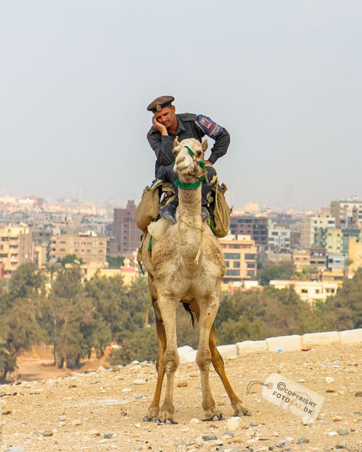 NIKON D700 . 1/1600 sec. f/4.5 . 70mm . ISO200 . ⒸPernille Fjeldgaard - Pyramiderne-Spinxen-11