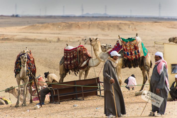 NIKON D700 . 1/640 sec. f/5.6 . 280mm . ISO200 . ⒸPernille Fjeldgaard - Pyramiderne-Spinxen-22