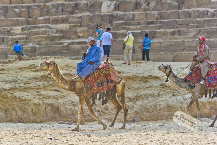 NIKON D700 . 1/500 sec. f/5.6 . 300mm . ISO200 . ⒸPernille Fjeldgaard - Pyramiderne-Spinxen-30