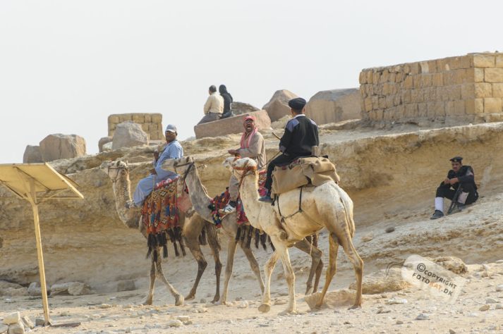 NIKON D700 . 1/640 sec. f/5.6 . 180mm . ISO200 . ⒸPernille Fjeldgaard - Pyramiderne-Spinxen-32