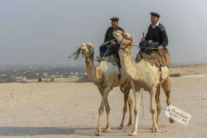 NIKON D700 . 1/800 sec. f/5.6 . 86mm . ISO200 . ⒸPernille Fjeldgaard - Pyramiderne-Spinxen-35