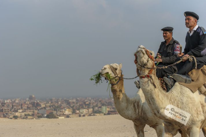 NIKON D700 . 1/1000 sec. f/5.6 . 86mm . ISO200 . ⒸPernille Fjeldgaard - Pyramiderne-Spinxen-36