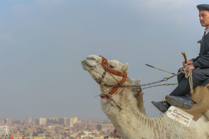 NIKON D700 . 1/800 sec. f/5.6 . 86mm . ISO200 . ⒸPernille Fjeldgaard - Pyramiderne-Spinxen-37