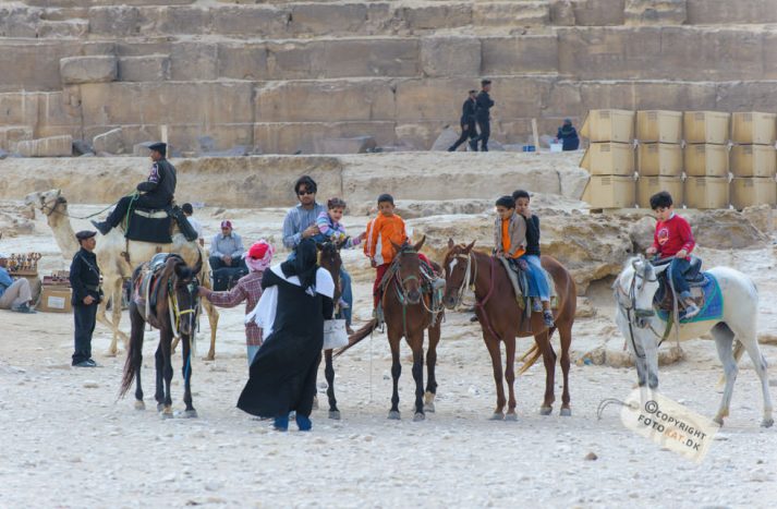 NIKON D700 . 1/320 sec. f/5.6 . 180mm . ISO200 . ⒸPernille Fjeldgaard - Pyramiderne-Spinxen-39