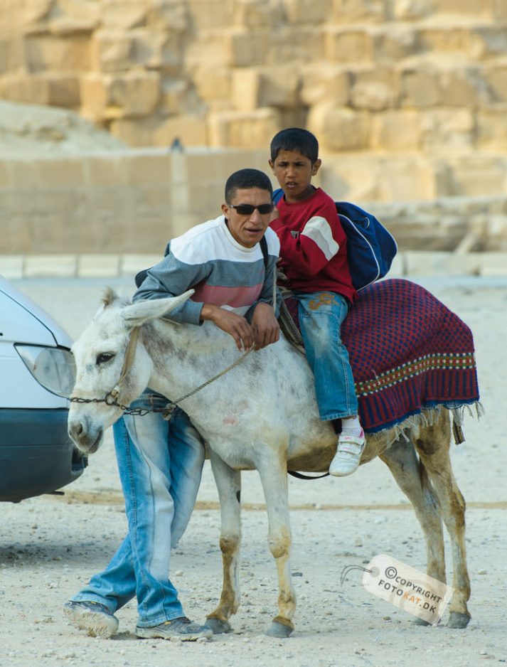 NIKON D700 . 1/640 sec. f/5.6 . 210mm . ISO200 . ⒸPernille Fjeldgaard - Pyramiderne-Spinxen-40