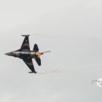 NIKON D600 . 1/1250 sec. f/5.6 . 250mm . ISO250 . - Solo_Turk_02