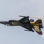 NIKON D600 . 1/1250 sec. f/5.6 . 320mm . ISO250 . ⒸPernille Fjeldgaard;Fotokat.dk - Solo_Turk_03