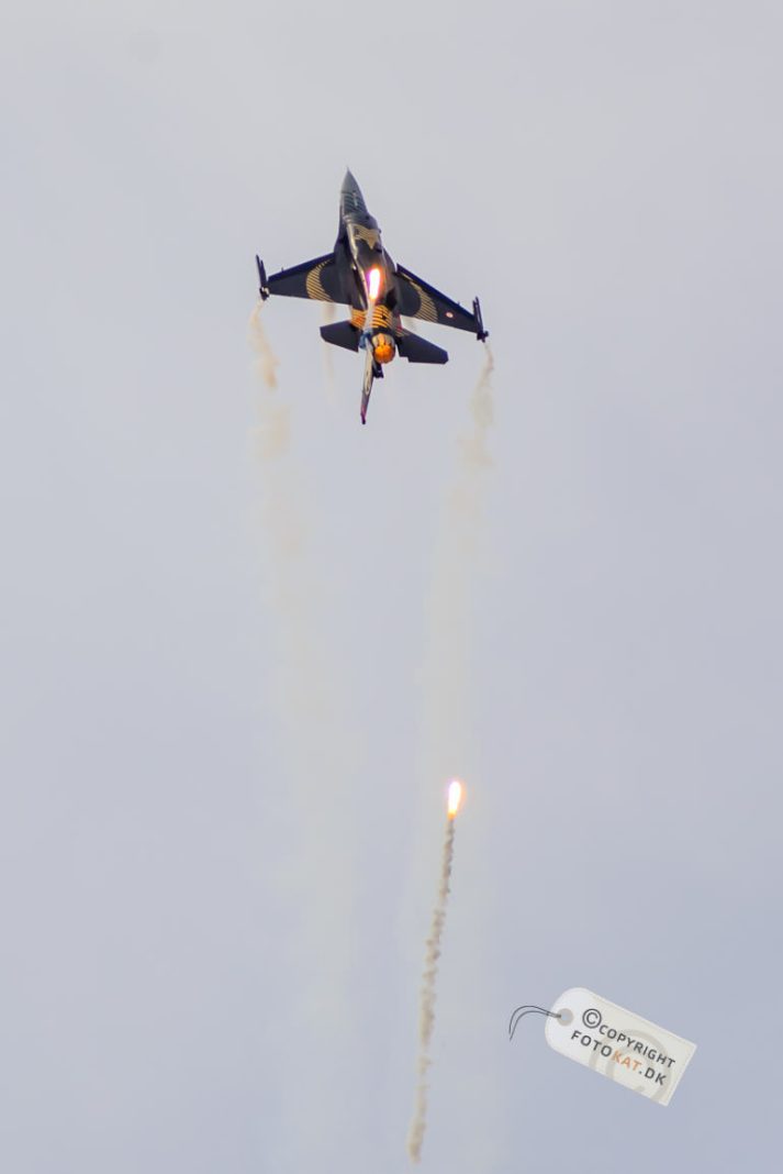 NIKON D600 . 1/1250 sec. f/5.6 . 400mm . ISO250 . - Solo_Turk_06