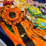 NIKON D700 . 1/125 sec. f/2.8 . 62mm . ISO800 . ⒸPernille Fjeldgaard - World-Show-Aalborg-2013-1