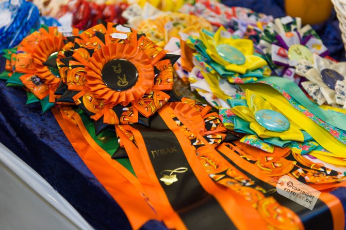 NIKON D700 . 1/125 sec. f/2.8 . 62mm . ISO800 . ⒸPernille Fjeldgaard - World-Show-Aalborg-2013-1