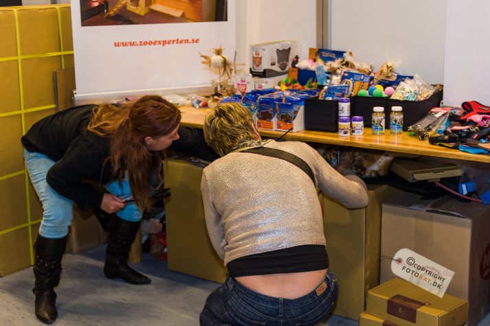 NIKON D700 . 1/125 sec. f/2.8 . 45mm . ISO800 . ⒸPernille Fjeldgaard - World-Show-Aalborg-2013-11