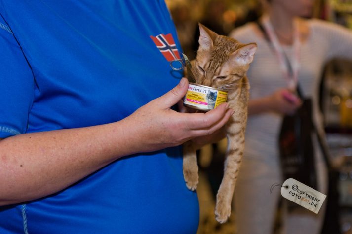 NIKON D700 . 1/125 sec. f/3.2 . 70mm . ISO1250 . ⒸPernille Fjeldgaard - World-Show-Aalborg-2013-14