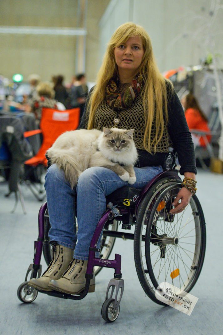 NIKON D600 . 1/125 sec. f/2.8 . 82mm . ISO2500 . ⒸPernille Fjeldgaard - World-Show-Aalborg-2013-16