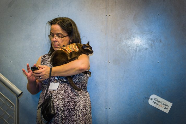 NIKON D700 . 1/125 sec. f/2.8 . 70mm . ISO1250 . ⒸPernille Fjeldgaard - World-Show-Aalborg-2013-19