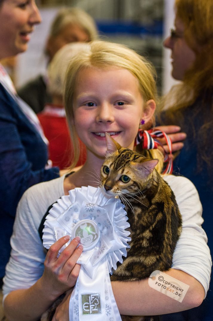 NIKON D700 . 1/125 sec. f/2.8 . 70mm . ISO1250 . ⒸPernille Fjeldgaard - World-Show-Aalborg-2013-23