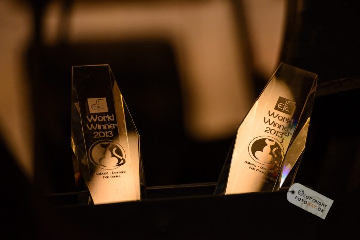 NIKON D600 . 1/125 sec. f/3.5 . 200mm . ISO1250 . ⒸPernille Fjeldgaard - World-Show-Aalborg-2013-24