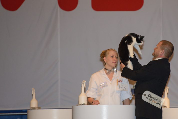 NIKON D600 . 1/160 sec. f/3.2 . 200mm . ISO2000 . ⒸPernille Fjeldgaard - World-Show-Aalborg-2013-26