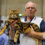 NIKON D700 . 1/125 sec. f/3.2 . 40mm . ISO3200 . ⒸPernille Fjeldgaard - World-Show-Aalborg-2013-3