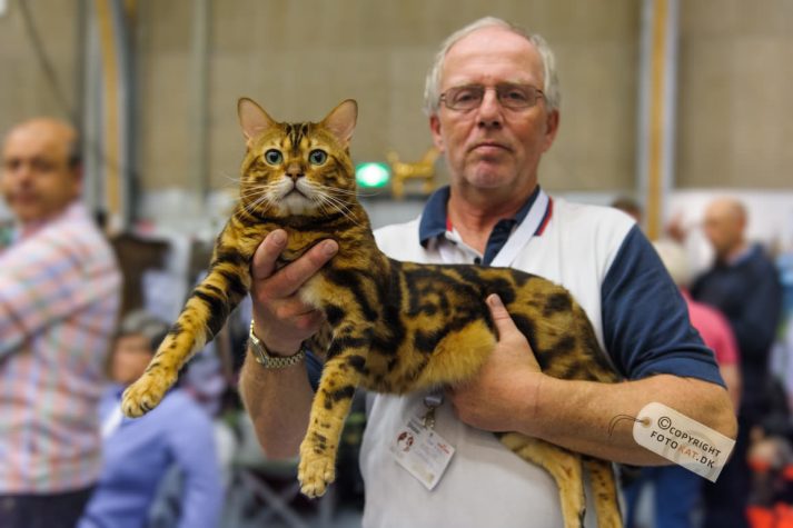 NIKON D700 . 1/125 sec. f/3.2 . 40mm . ISO3200 . ⒸPernille Fjeldgaard - World-Show-Aalborg-2013-3