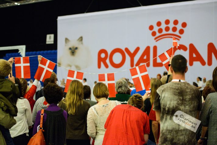 NIKON D600 . 1/125 sec. f/2.8 . 70mm . ISO2500 . ⒸPernille Fjeldgaard - World-Show-Aalborg-2013-31